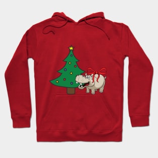 i want a hippopotamus for christmas Hoodie